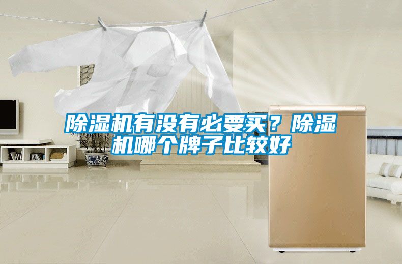 除濕機有沒有必要買？除濕機哪個牌子比較好