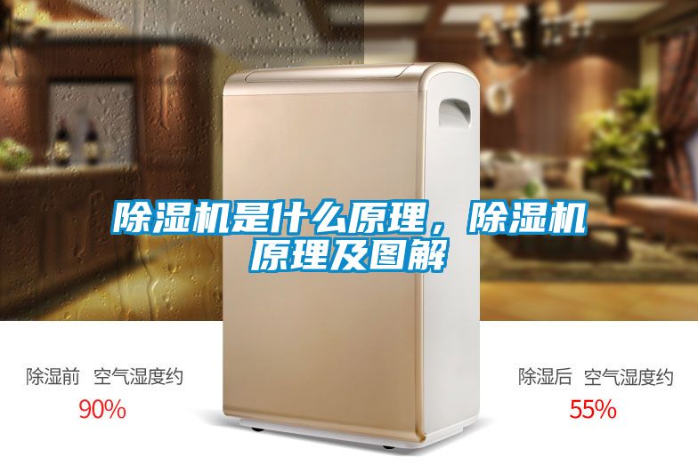 除濕機是什么原理，除濕機原理及圖解