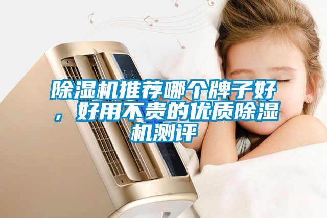 除濕機推薦哪個牌子好，好用不貴的優質除濕機測評