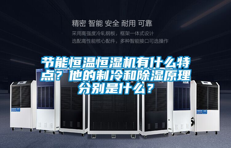節(jié)能恒溫恒濕機(jī)有什么特點(diǎn)？他的制冷和除濕原理分別是什么？