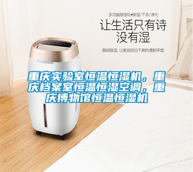 重慶實驗室恒溫恒濕機，重慶檔案室恒溫恒濕空調，重慶博物館恒溫恒濕機