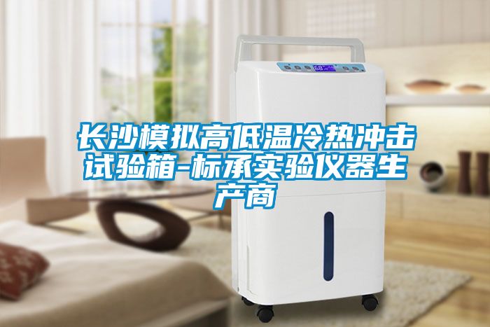 長(zhǎng)沙模擬高低溫冷熱沖擊試驗(yàn)箱-標(biāo)承實(shí)驗(yàn)儀器生產(chǎn)商