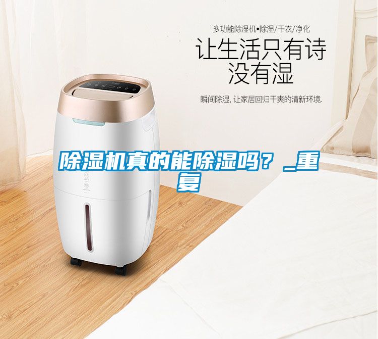 除濕機(jī)真的能除濕嗎？_重復(fù)
