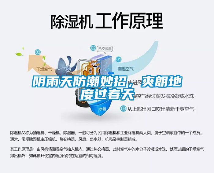 陰雨天防潮妙招，爽朗地度過春天