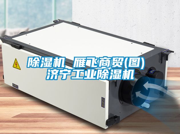 除濕機 雁飛商貿(圖) 濟寧工業(yè)除濕機