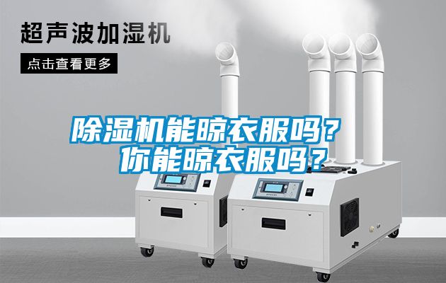 除濕機(jī)能晾衣服嗎？ 你能晾衣服嗎？