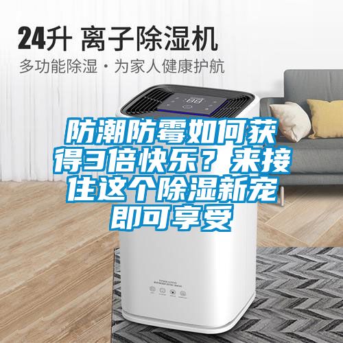 防潮防霉如何獲得3倍快樂？來接住這個除濕新寵即可享受