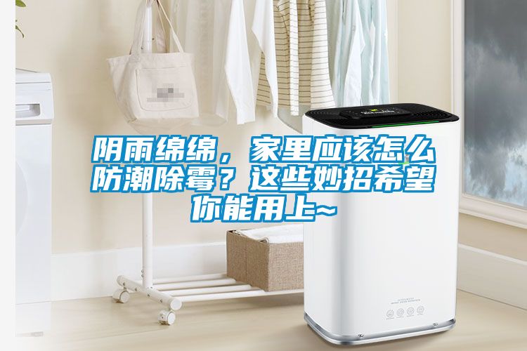 陰雨綿綿，家里應該怎么防潮除霉？這些妙招希望你能用上~