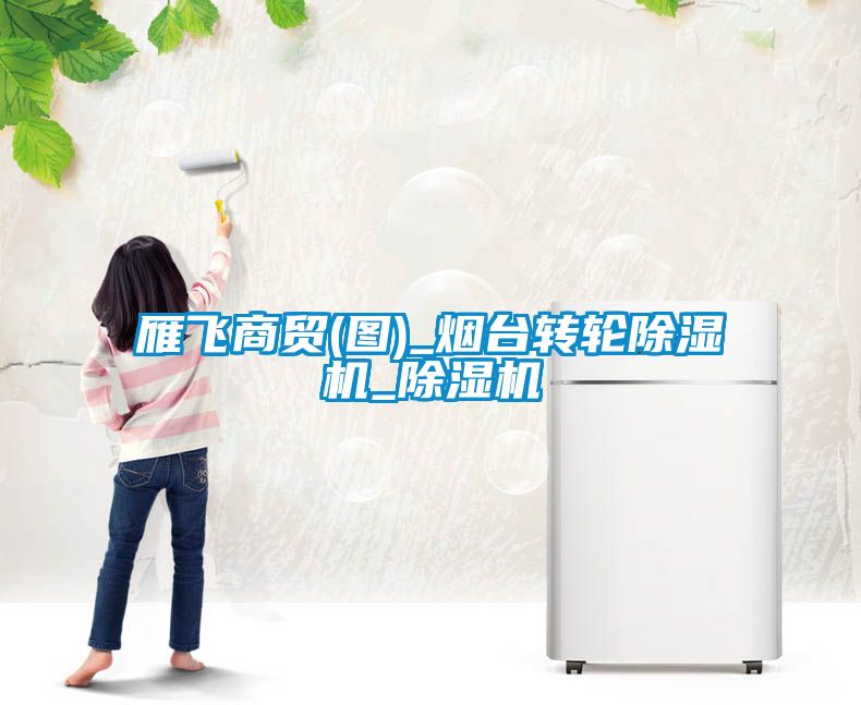 雁飛商貿(mào)(圖)_煙臺轉(zhuǎn)輪除濕機(jī)_除濕機(jī)