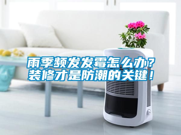雨季頻發發霉怎么辦？裝修才是防潮的關鍵！