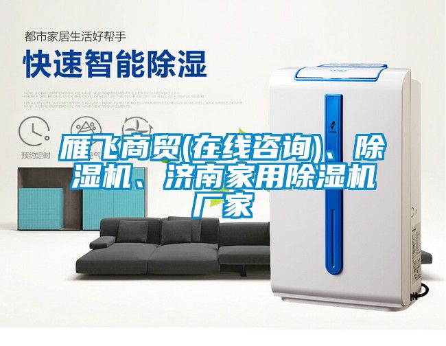 雁飛商貿(mào)(在線咨詢)、除濕機、濟南家用除濕機廠家