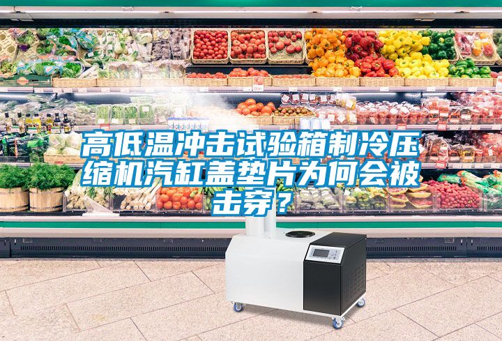 高低溫沖擊試驗(yàn)箱制冷壓縮機(jī)汽缸蓋墊片為何會被擊穿？
