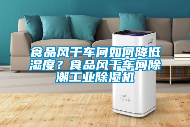 食品風(fēng)干車(chē)間如何降低濕度？食品風(fēng)干車(chē)間除潮工業(yè)除濕機(jī)